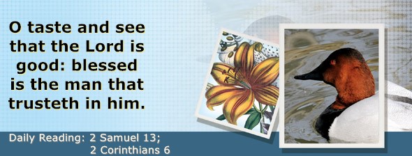 https://bibletruthpublishers.com/DailyLightEvening/wp-content/uploads/dl-hdg-2025-520.jpg