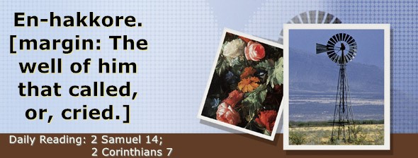 https://bibletruthpublishers.com/DailyLightEvening/wp-content/uploads/dl-hdg-2025-522.jpg
