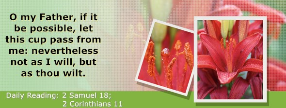https://bibletruthpublishers.com/DailyLightEvening/wp-content/uploads/dl-hdg-2025-530.jpg