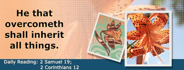 https://bibletruthpublishers.com/DailyLightEvening/wp-content/uploads/dl-hdg-2025-532.jpg