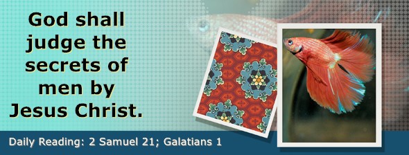 https://bibletruthpublishers.com/DailyLightEvening/wp-content/uploads/dl-hdg-2025-536.jpg
