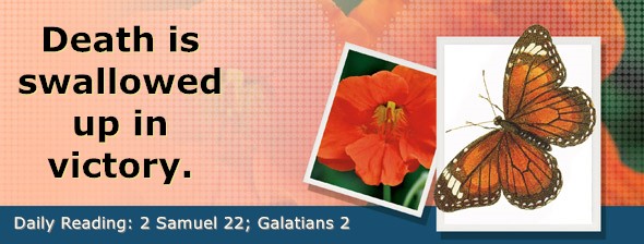 https://bibletruthpublishers.com/DailyLightEvening/wp-content/uploads/dl-hdg-2025-538.jpg