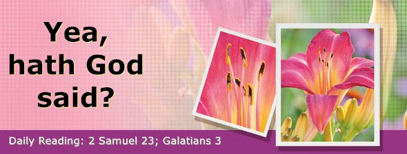 https://bibletruthpublishers.com/DailyLightEvening/wp-content/uploads/dl-hdg-2025-540.jpg