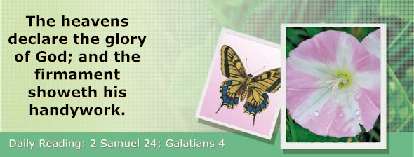 https://bibletruthpublishers.com/DailyLightEvening/wp-content/uploads/dl-hdg-2025-542.jpg