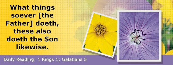 https://bibletruthpublishers.com/DailyLightEvening/wp-content/uploads/dl-hdg-2025-544.jpg