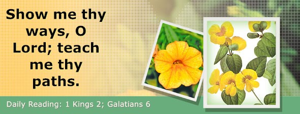 https://bibletruthpublishers.com/DailyLightEvening/wp-content/uploads/dl-hdg-2025-546.jpg