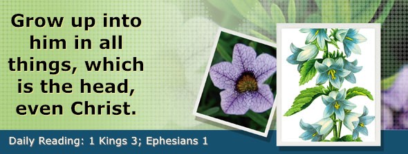 https://bibletruthpublishers.com/DailyLightEvening/wp-content/uploads/dl-hdg-2025-548.jpg