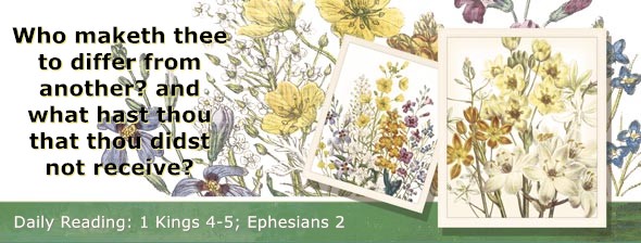 https://bibletruthpublishers.com/DailyLightEvening/wp-content/uploads/dl-hdg-2025-550.jpg