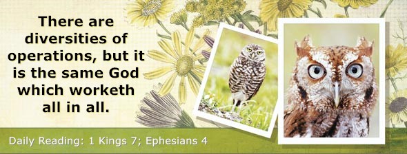 https://bibletruthpublishers.com/DailyLightEvening/wp-content/uploads/dl-hdg-2025-554.jpg