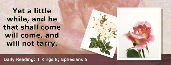 https://bibletruthpublishers.com/DailyLightEvening/wp-content/uploads/dl-hdg-2025-556.jpg