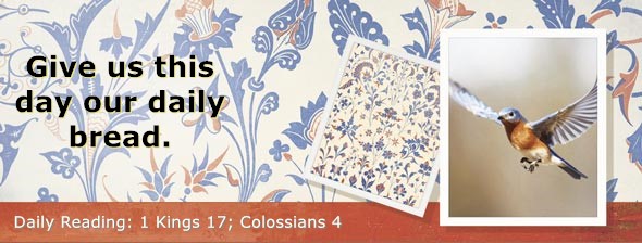 https://bibletruthpublishers.com/DailyLightEvening/wp-content/uploads/dl-hdg-2025-574.jpg