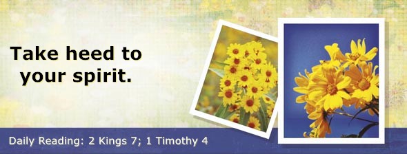 https://bibletruthpublishers.com/DailyLightEvening/wp-content/uploads/dl-hdg-2025-598.jpg