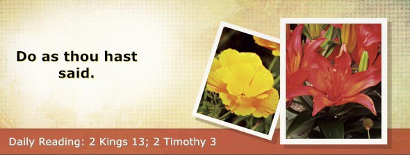 https://bibletruthpublishers.com/DailyLightEvening/wp-content/uploads/dl-hdg-2025-608.jpg