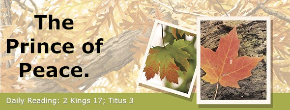 https://bibletruthpublishers.com/DailyLightEvening/wp-content/uploads/dl-hdg-2025-616.jpg