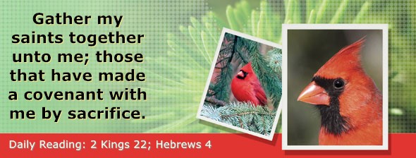 https://bibletruthpublishers.com/DailyLightEvening/wp-content/uploads/dl-hdg-2025-626.jpg