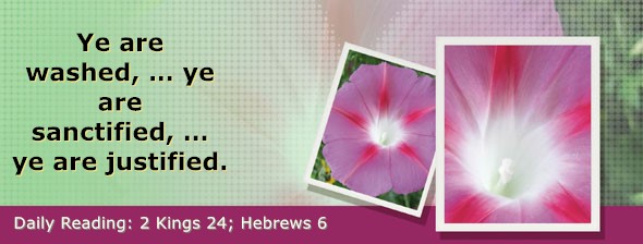 https://bibletruthpublishers.com/DailyLightEvening/wp-content/uploads/dl-hdg-2025-630.jpg