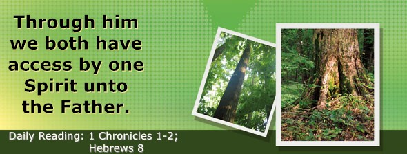 https://bibletruthpublishers.com/DailyLightEvening/wp-content/uploads/dl-hdg-2025-634.jpg