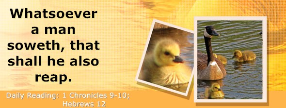 https://bibletruthpublishers.com/DailyLightEvening/wp-content/uploads/dl-hdg-2025-642.jpg