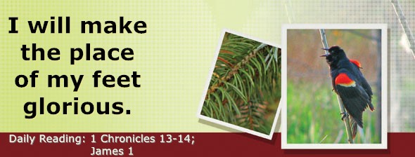https://bibletruthpublishers.com/DailyLightEvening/wp-content/uploads/dl-hdg-2025-646.jpg