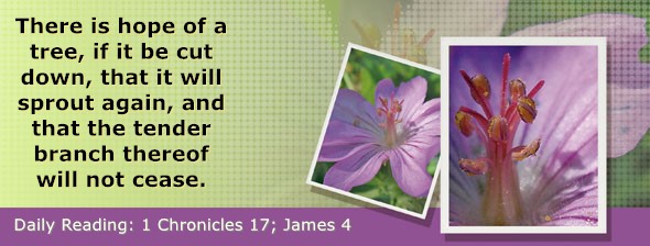 https://bibletruthpublishers.com/DailyLightEvening/wp-content/uploads/dl-hdg-2025-652.jpg
