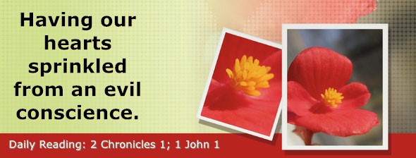 https://bibletruthpublishers.com/DailyLightEvening/wp-content/uploads/dl-hdg-2025-672.jpg