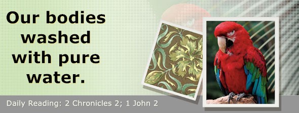 https://bibletruthpublishers.com/DailyLightEvening/wp-content/uploads/dl-hdg-2025-674.jpg