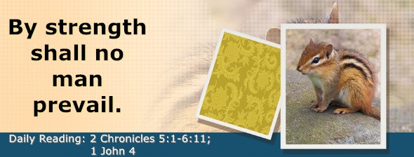 https://bibletruthpublishers.com/DailyLightEvening/wp-content/uploads/dl-hdg-2025-678.jpg