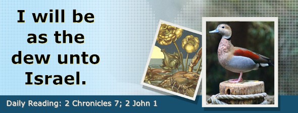 https://bibletruthpublishers.com/DailyLightEvening/wp-content/uploads/dl-hdg-2025-682.jpg
