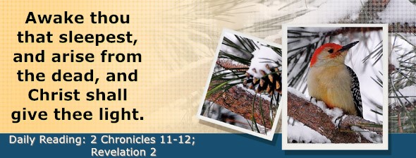 https://bibletruthpublishers.com/DailyLightEvening/wp-content/uploads/dl-hdg-2025-690.jpg