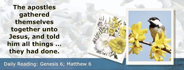 https://bibletruthpublishers.com/DailyLightEvening/wp-content/uploads/dl-hdg-2026-012.jpg