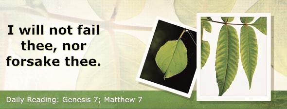 https://bibletruthpublishers.com/DailyLightEvening/wp-content/uploads/dl-hdg-2026-014.jpg