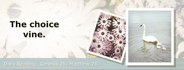 https://bibletruthpublishers.com/DailyLightEvening/wp-content/uploads/dl-hdg-2026-048.jpg