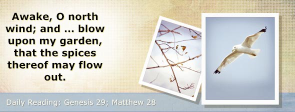 https://bibletruthpublishers.com/DailyLightEvening/wp-content/uploads/dl-hdg-2026-056.jpg