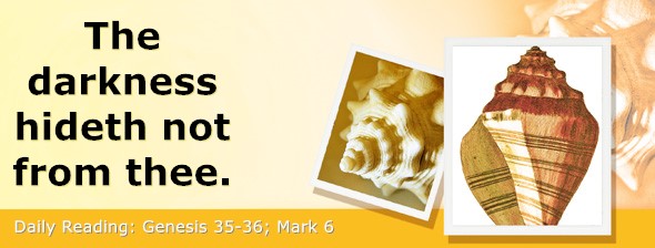 https://bibletruthpublishers.com/DailyLightEvening/wp-content/uploads/dl-hdg-2026-068.jpg