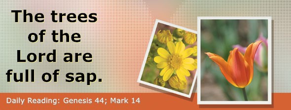 https://bibletruthpublishers.com/DailyLightEvening/wp-content/uploads/dl-hdg-2026-084.jpg