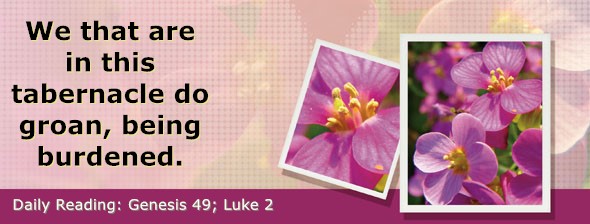 https://bibletruthpublishers.com/DailyLightEvening/wp-content/uploads/dl-hdg-2026-094.jpg