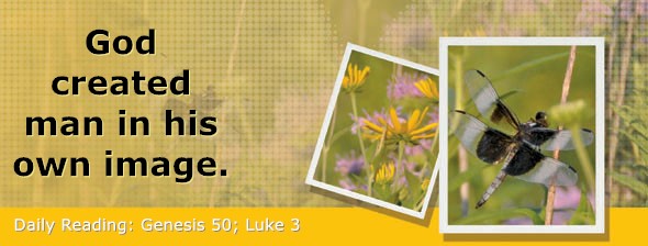 https://bibletruthpublishers.com/DailyLightEvening/wp-content/uploads/dl-hdg-2026-096.jpg