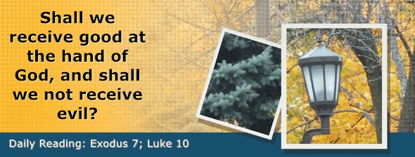 https://bibletruthpublishers.com/DailyLightEvening/wp-content/uploads/dl-hdg-2026-110.jpg