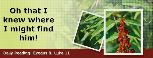 https://bibletruthpublishers.com/DailyLightEvening/wp-content/uploads/dl-hdg-2026-112.jpg