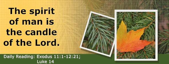 https://bibletruthpublishers.com/DailyLightEvening/wp-content/uploads/dl-hdg-2026-118.jpg