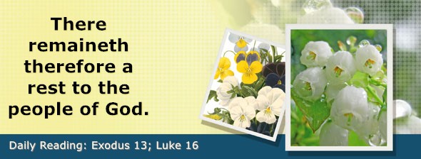 https://bibletruthpublishers.com/DailyLightEvening/wp-content/uploads/dl-hdg-2026-122.jpg