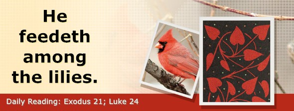 https://bibletruthpublishers.com/DailyLightEvening/wp-content/uploads/dl-hdg-2026-138.jpg
