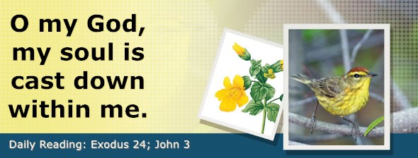 https://bibletruthpublishers.com/DailyLightEvening/wp-content/uploads/dl-hdg-2026-144.jpg