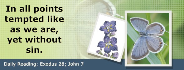 https://bibletruthpublishers.com/DailyLightEvening/wp-content/uploads/dl-hdg-2026-152.jpg