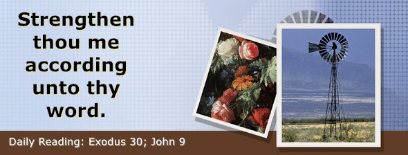 https://bibletruthpublishers.com/DailyLightEvening/wp-content/uploads/dl-hdg-2026-156.jpg