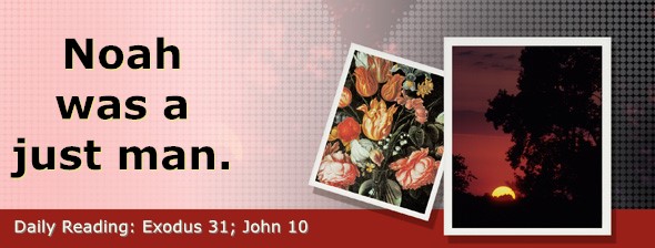 https://bibletruthpublishers.com/DailyLightEvening/wp-content/uploads/dl-hdg-2026-158.jpg