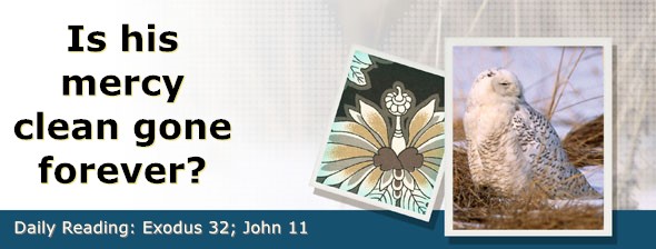 https://bibletruthpublishers.com/DailyLightEvening/wp-content/uploads/dl-hdg-2026-160.jpg