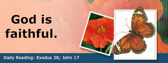 https://bibletruthpublishers.com/DailyLightEvening/wp-content/uploads/dl-hdg-2026-172.jpg