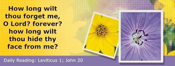https://bibletruthpublishers.com/DailyLightEvening/wp-content/uploads/dl-hdg-2026-178.jpg
