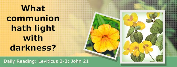 https://bibletruthpublishers.com/DailyLightEvening/wp-content/uploads/dl-hdg-2026-180.jpg